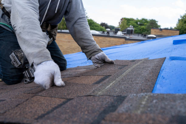 Best Commercial Roof Installation  in Paulina, LA